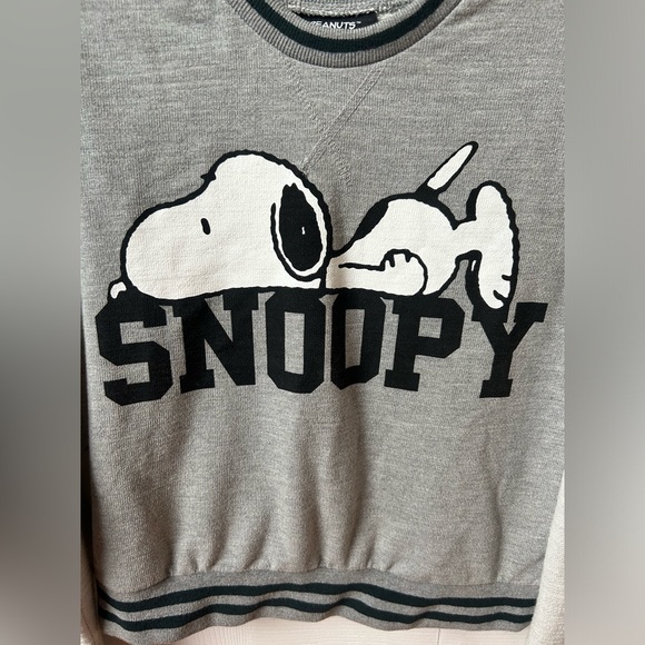 Peanuts Snoopy Gray Long Sleeve Sweater - size small S - Picture 4 of 8